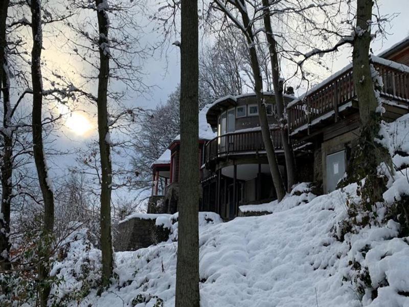 Waldhaus Anne Villa Nideggen Dış mekan fotoğraf